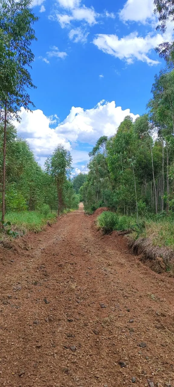 Fazenda à venda de 169 ha em Pratânia, SP, Brasil