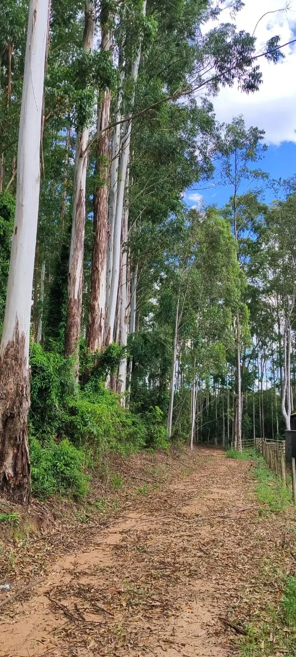 Farm for sale of 419 acres in Pratânia, SP, Brazil