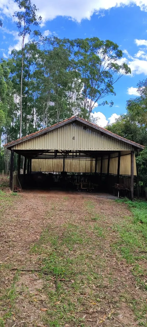 Farm for sale of 419 acres in Pratânia, SP, Brazil