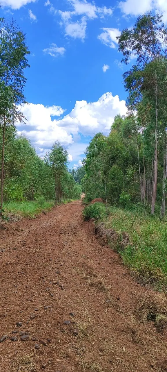 Farm for sale of 419 acres in Pratânia, SP, Brazil