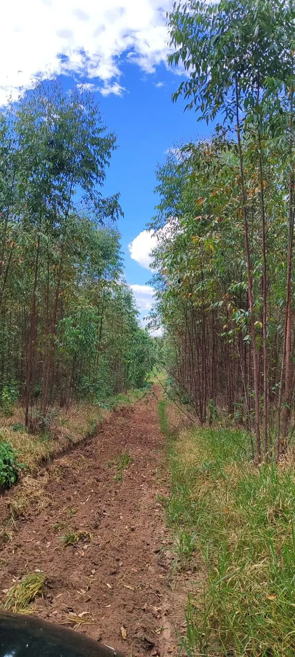 Farm for sale of 419 acres in Pratânia, SP, Brazil