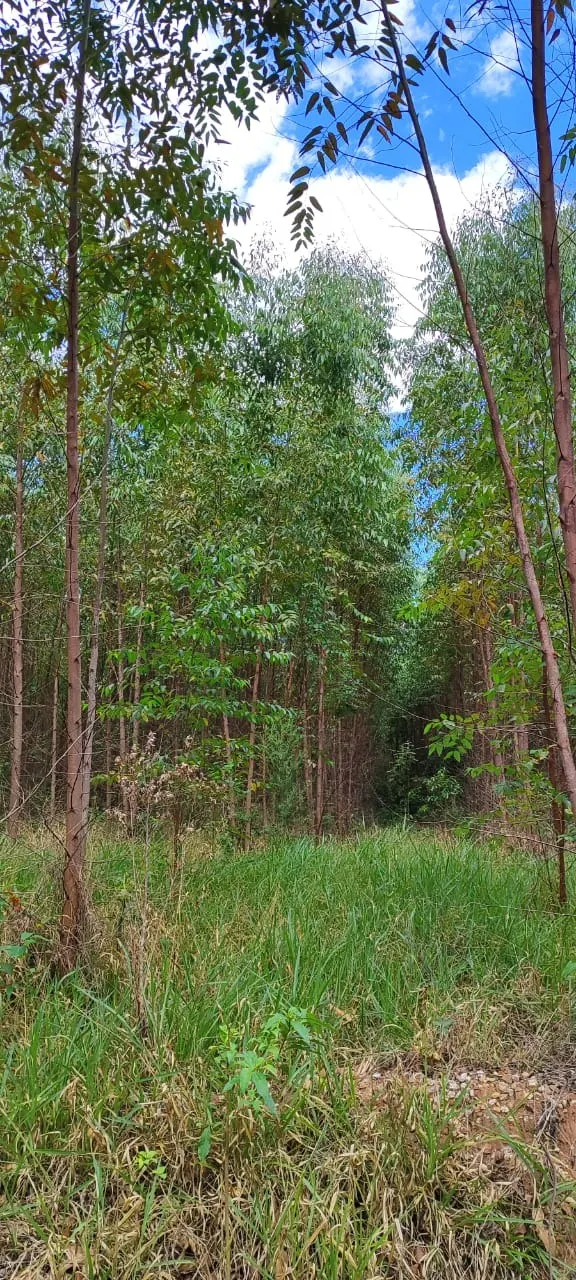 Farm for sale of 419 acres in Pratânia, SP, Brazil