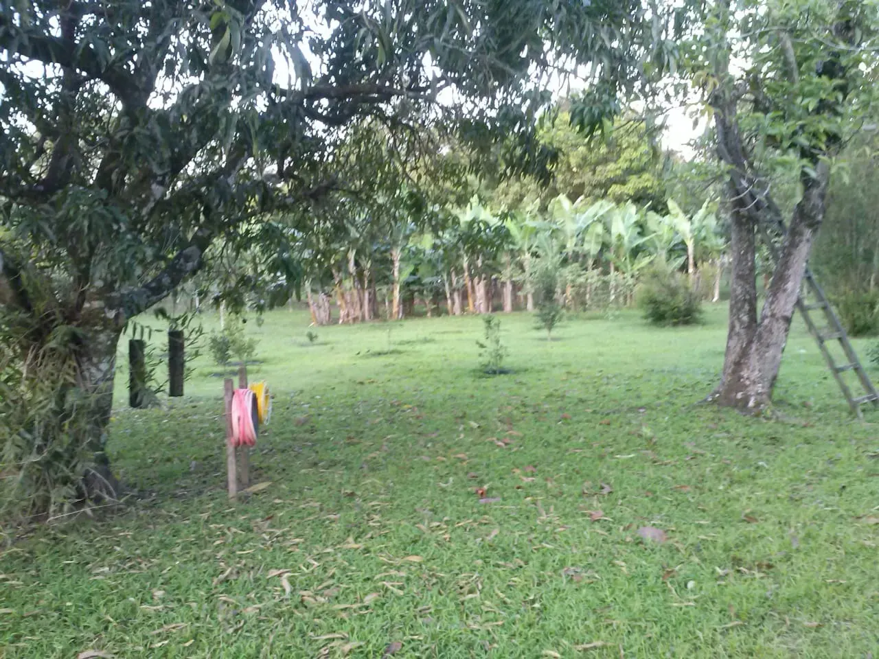 Chácara à venda de 2 ha em Itapetininga, SP, Brasil