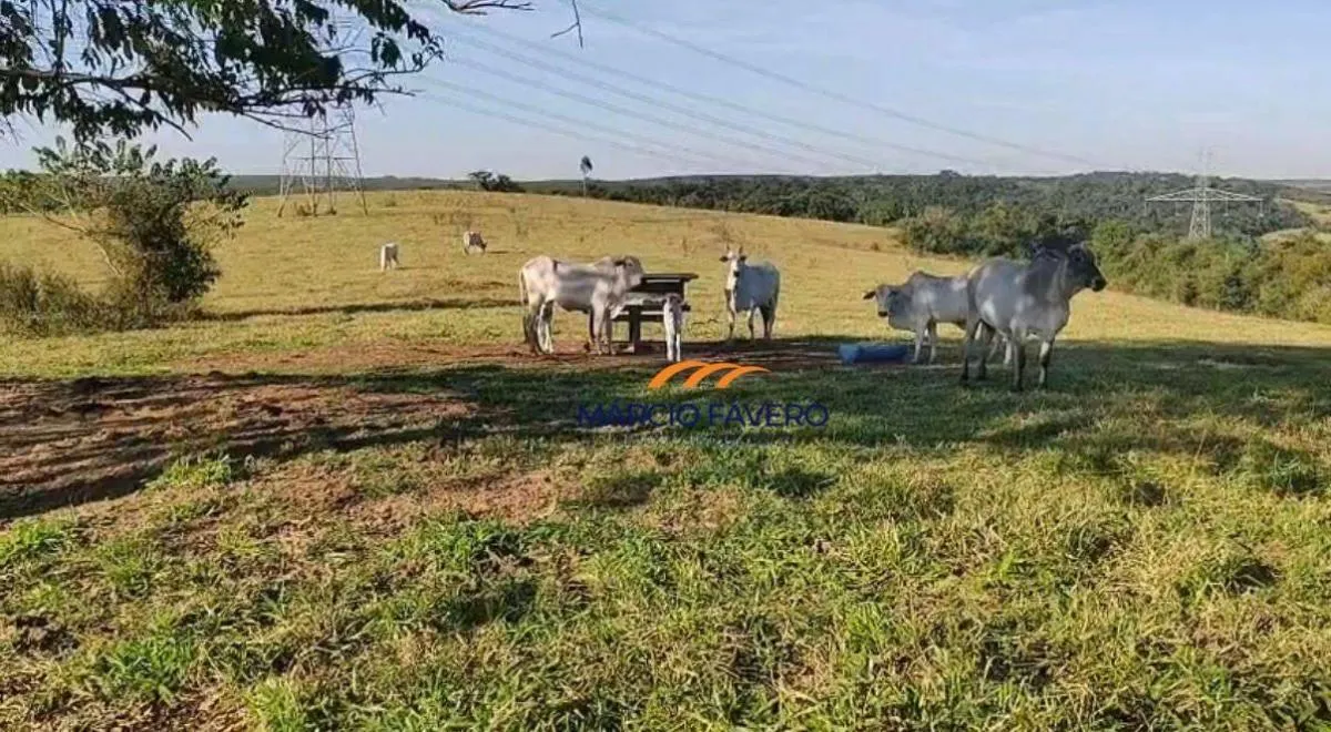 Fazenda à venda de 557 ha em Presidente Alves, SP, Brasil