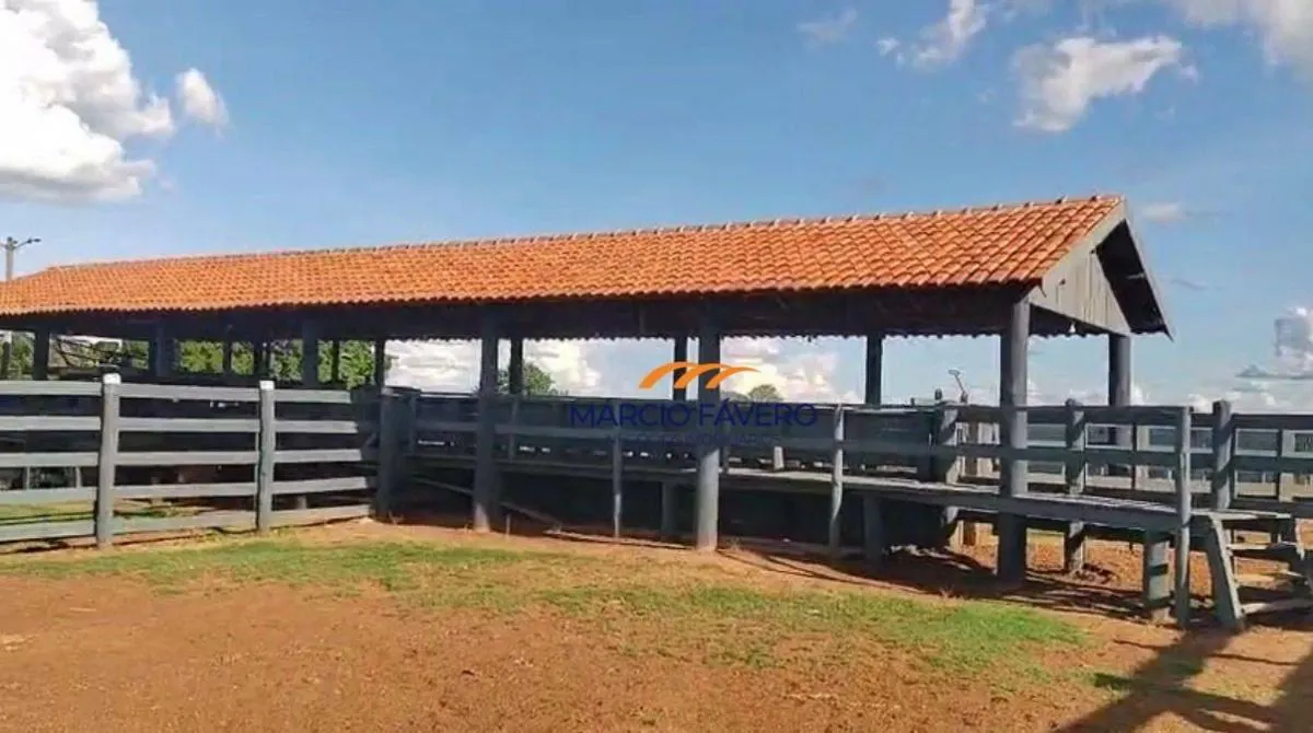 Fazenda à venda de 557 ha em Presidente Alves, SP, Brasil