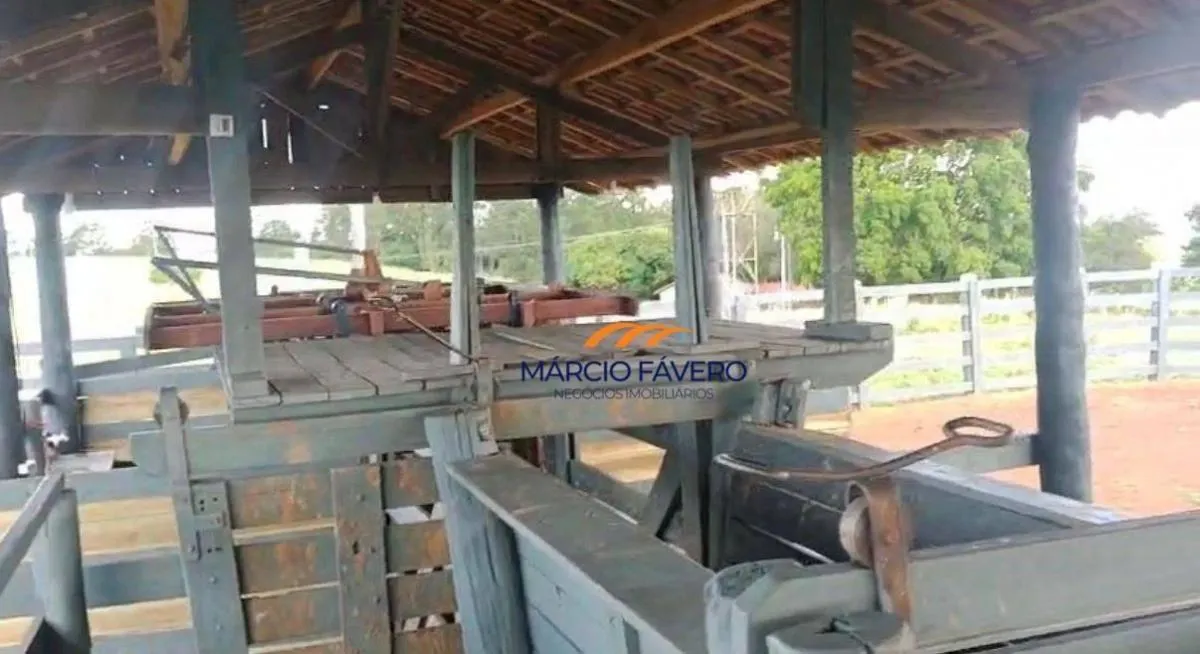 Fazenda à venda de 557 ha em Presidente Alves, SP, Brasil