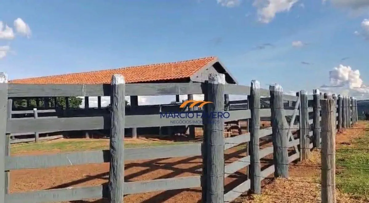 Fazenda à venda de 557 ha em Presidente Alves, SP, Brasil