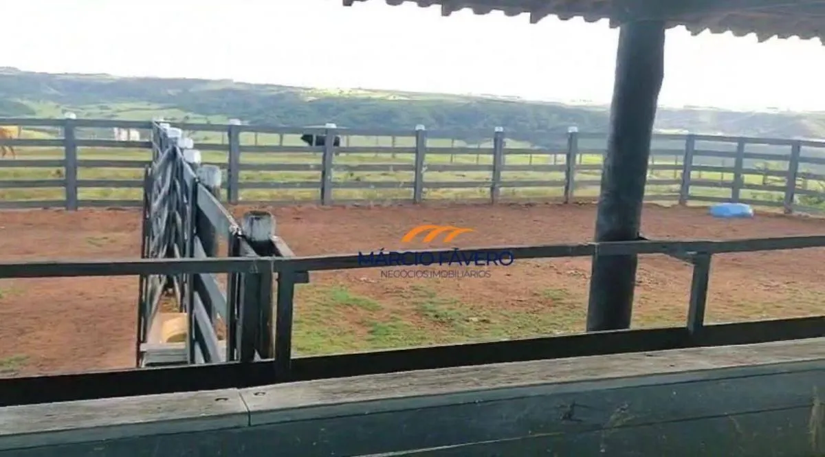 Fazenda à venda de 557 ha em Presidente Alves, SP, Brasil