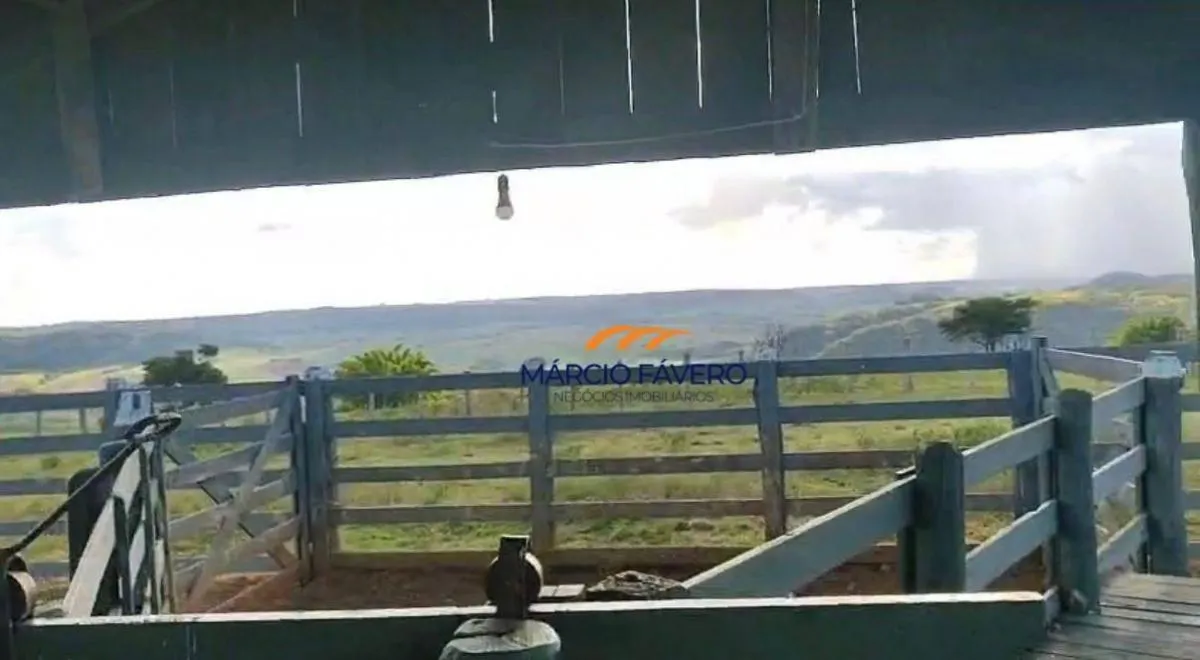 Fazenda à venda de 557 ha em Presidente Alves, SP, Brasil