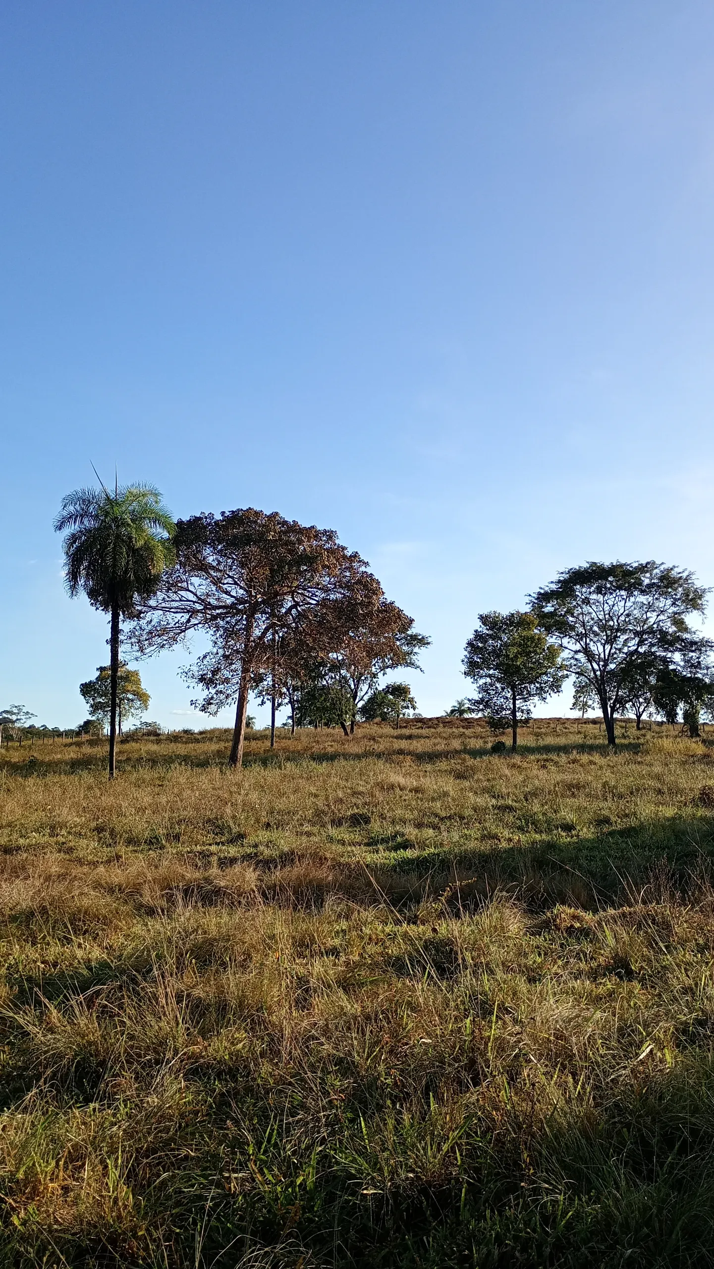 Chácara à venda de 10 ha em Itacajá, TO, Brasil