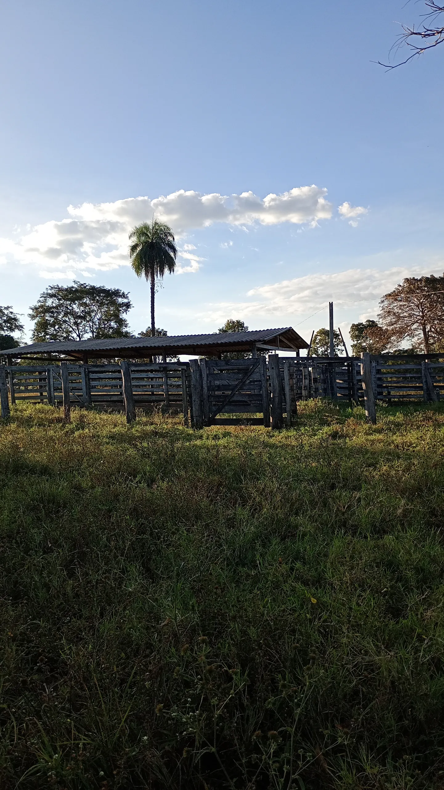 Chácara à venda de 10 ha em Itacajá, TO, Brasil