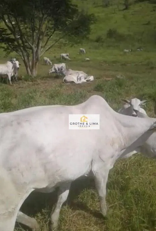 Fazenda à venda de 322 ha em Caçapava, SP, Brasil