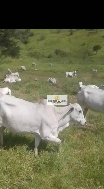 Fazenda à venda de 322 ha em Caçapava, SP, Brasil