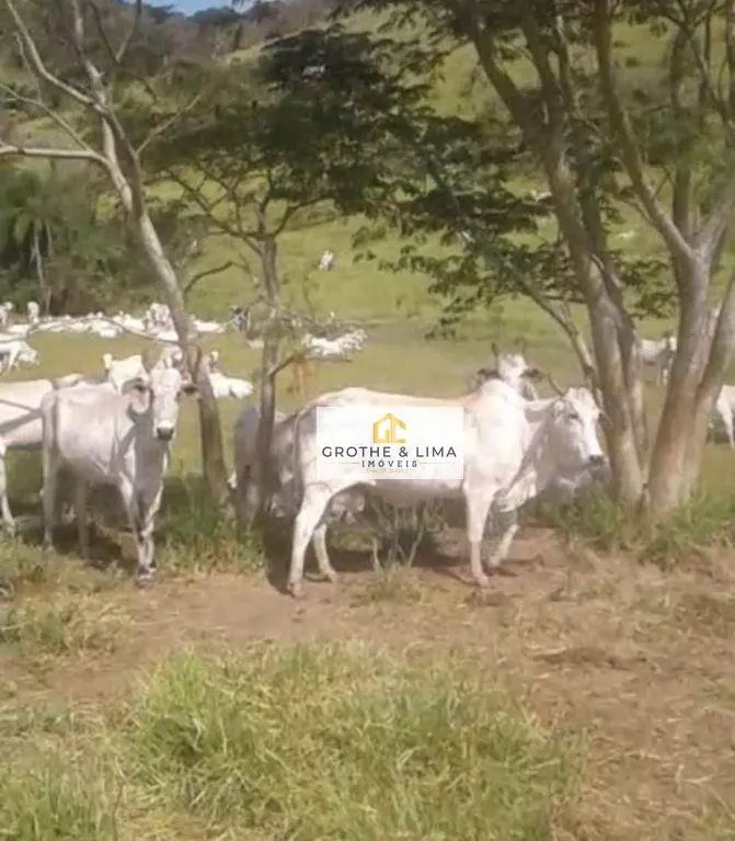 Fazenda à venda de 322 ha em Caçapava, SP, Brasil