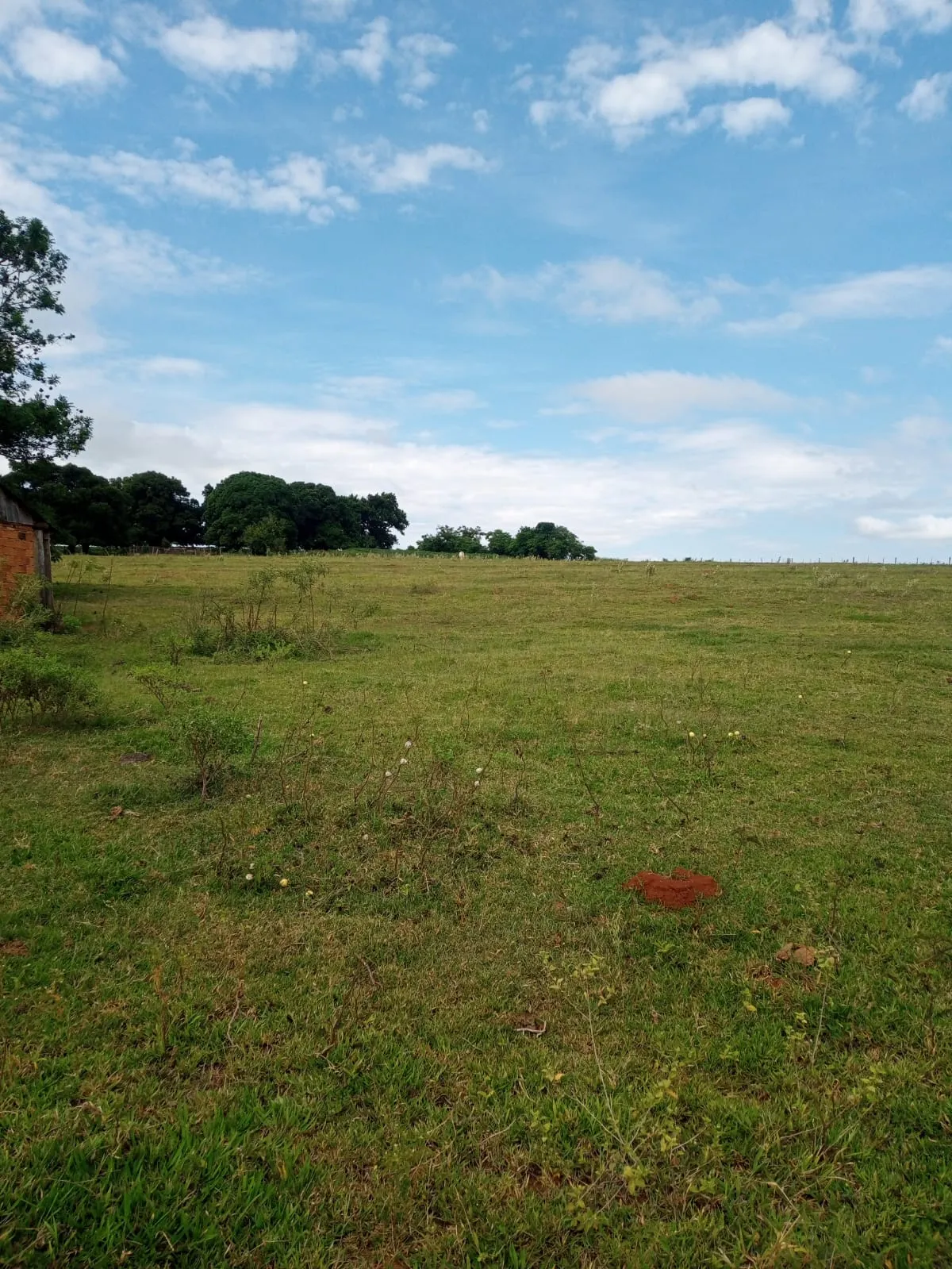 Small farm for sale of 20 acres in Estrela do Norte, SP, Brazil