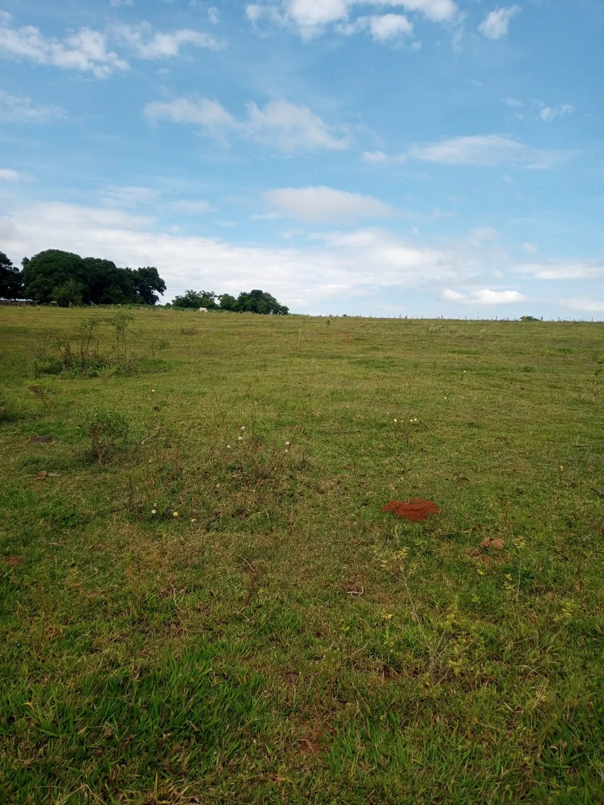 Small farm for sale of 20 acres in Estrela do Norte, SP, Brazil
