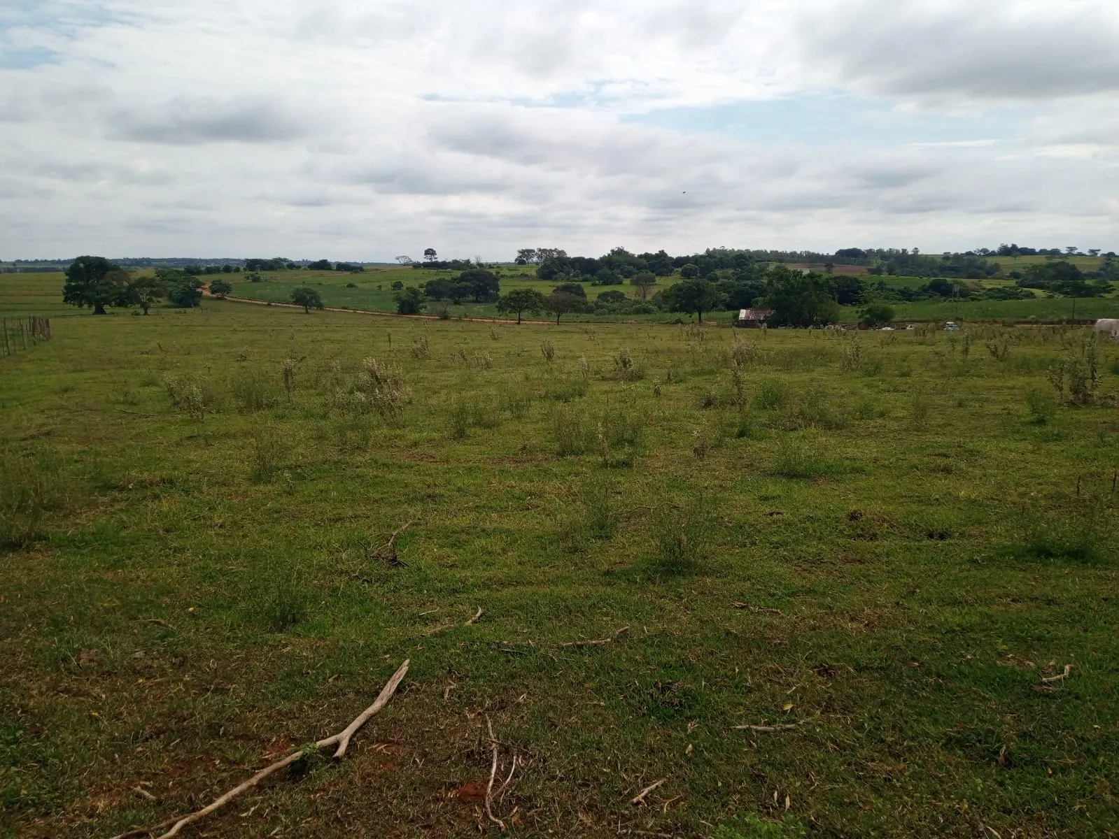 Small farm for sale of 20 acres in Estrela do Norte, SP, Brazil
