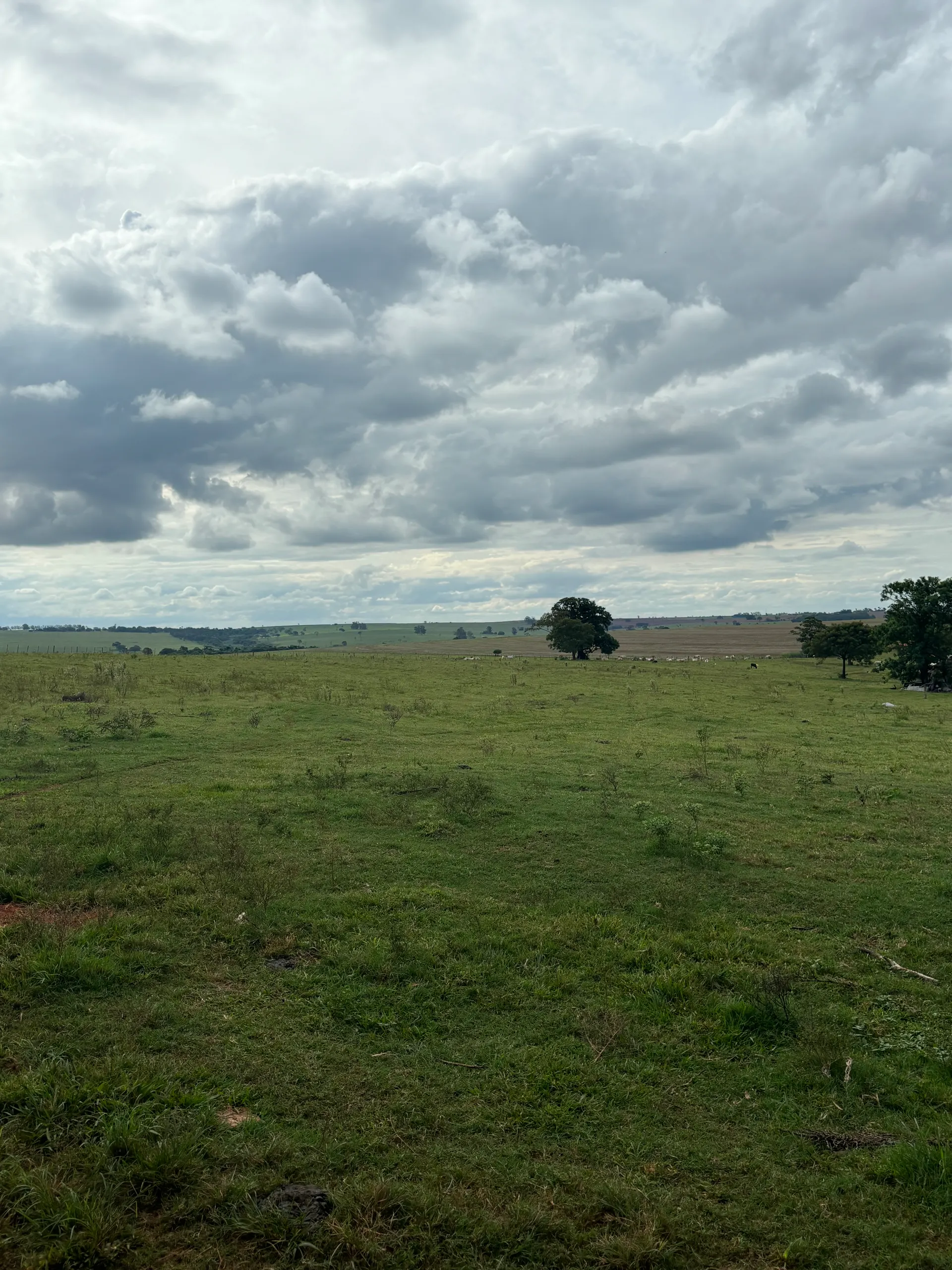 Small farm for sale of 20 acres in Estrela do Norte, SP, Brazil