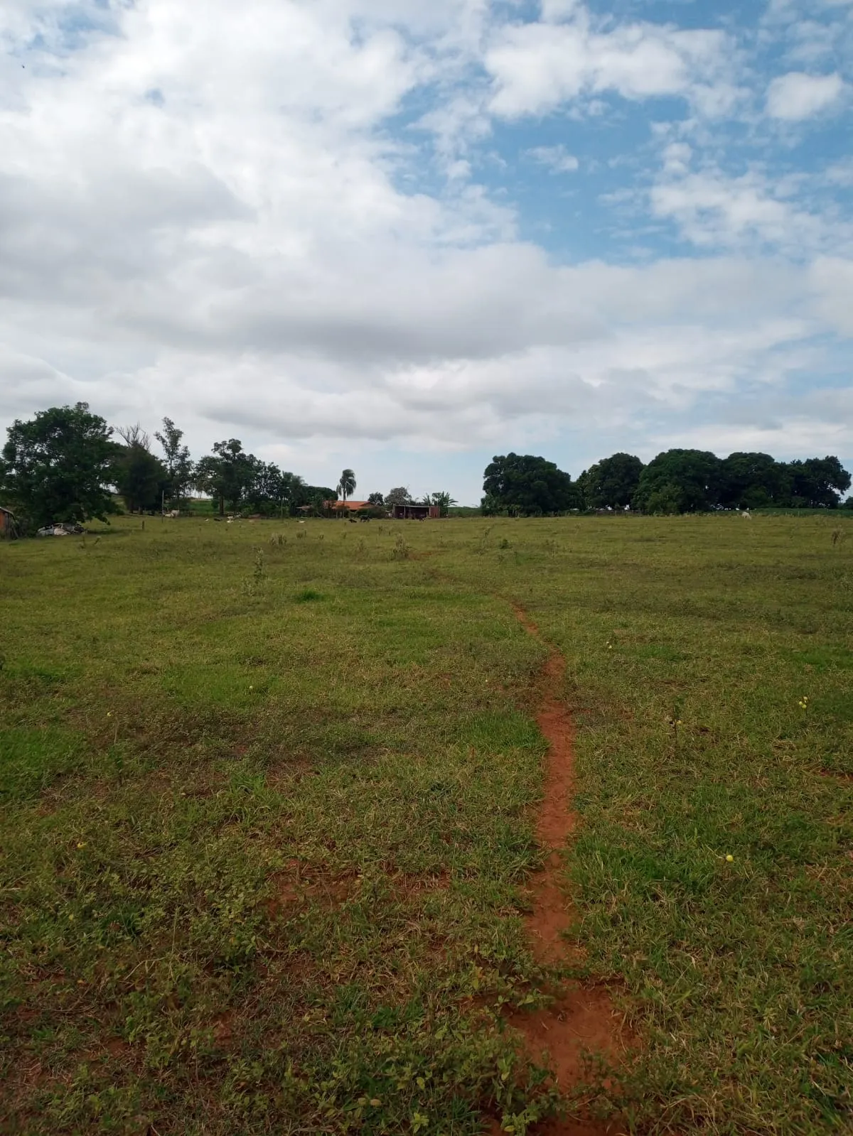 Sítio à venda de 8 ha em Estrela do Norte, SP, Brasil