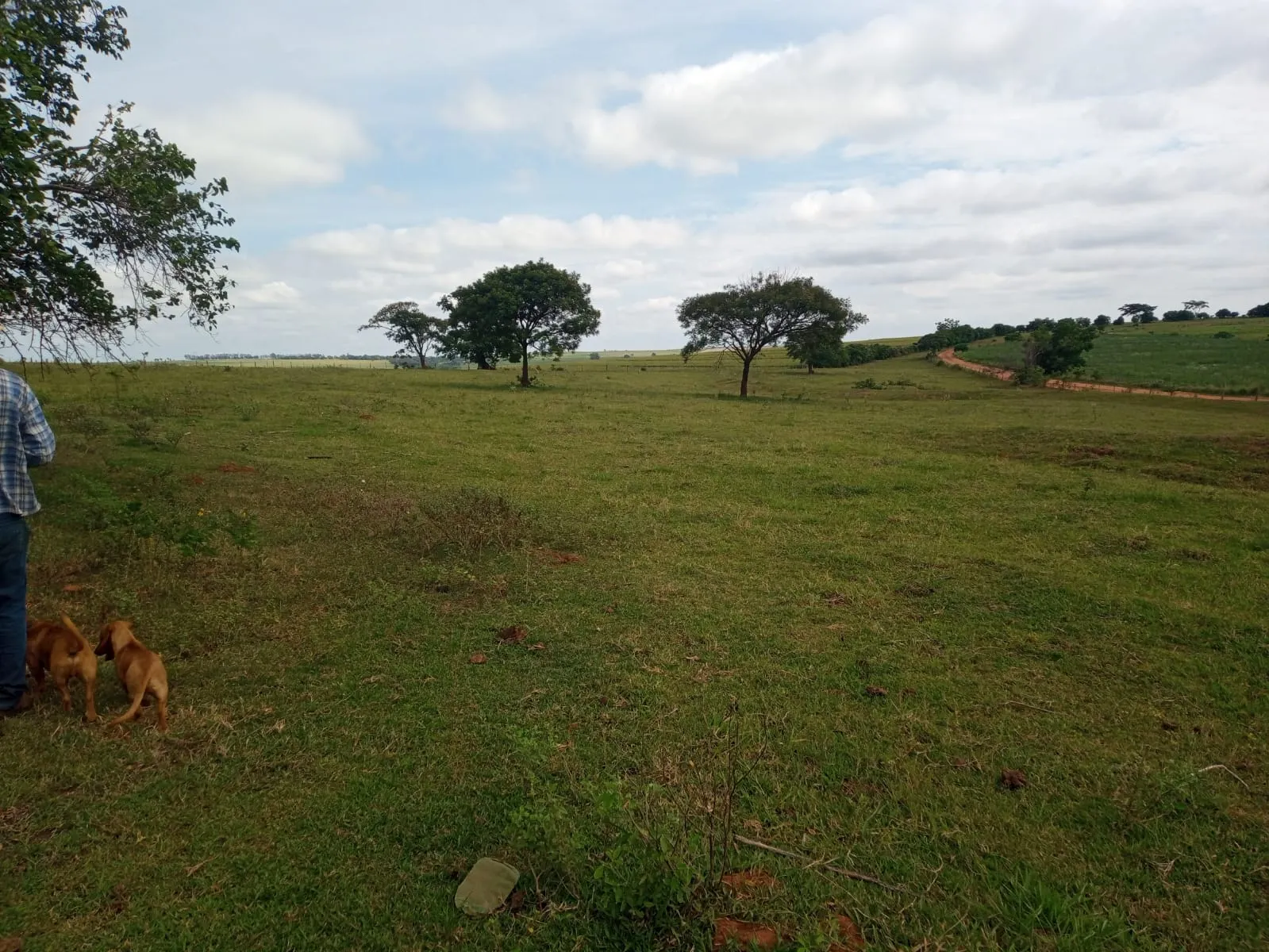 Small farm for sale of 20 acres in Estrela do Norte, SP, Brazil