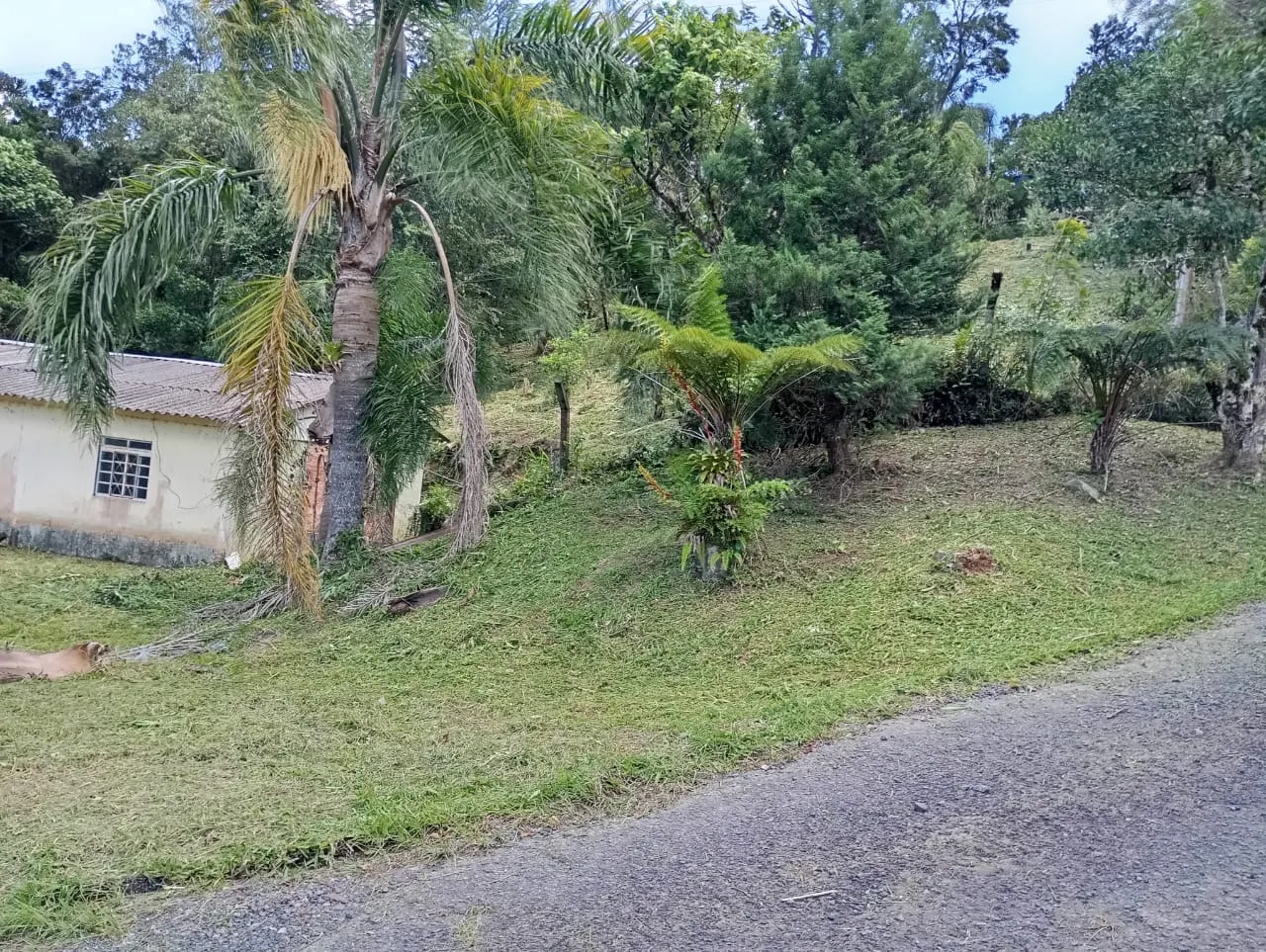 Country home for sale of 1,200 m² in Morretes, PR, Brazil