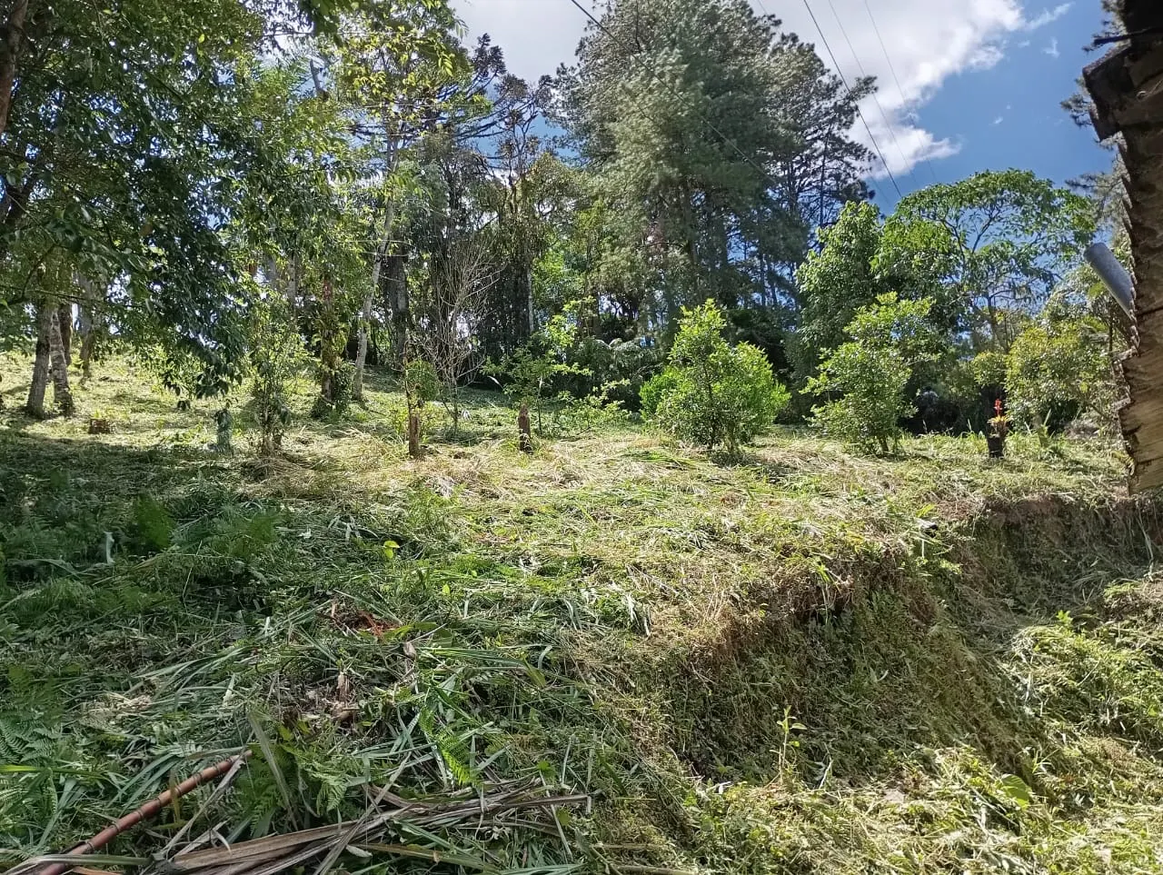 Country home for sale of 1,200 m² in Morretes, PR, Brazil