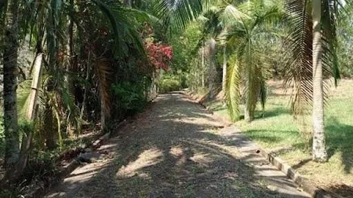 Chácara à venda de 2 ha em Campo Limpo Paulista, SP, Brasil