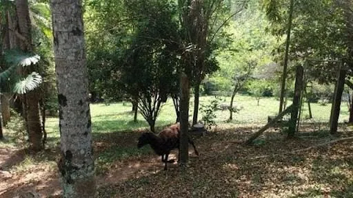 Chácara à venda de 2 ha em Campo Limpo Paulista, SP, Brasil