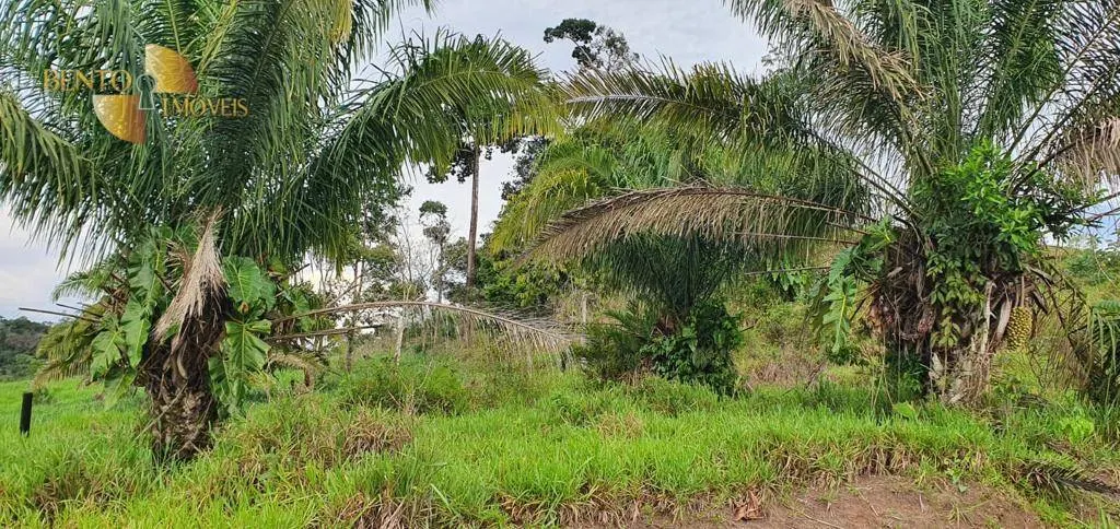 Fazenda à venda de 1.760 ha em Comodoro, MT, Brasil