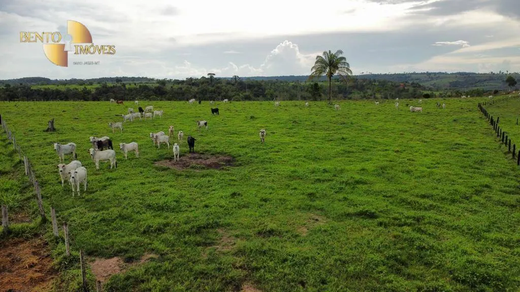 Fazenda à venda de 1.760 ha em Comodoro, MT, Brasil