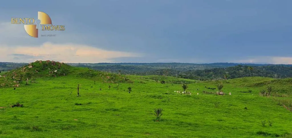 Fazenda à venda de 1.760 ha em Comodoro, MT, Brasil