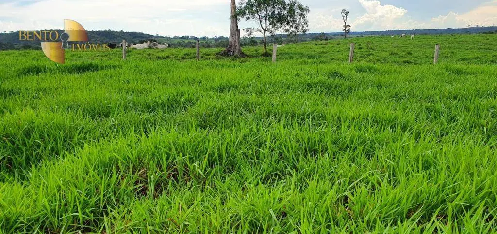 Fazenda à venda de 1.760 ha em Comodoro, MT, Brasil