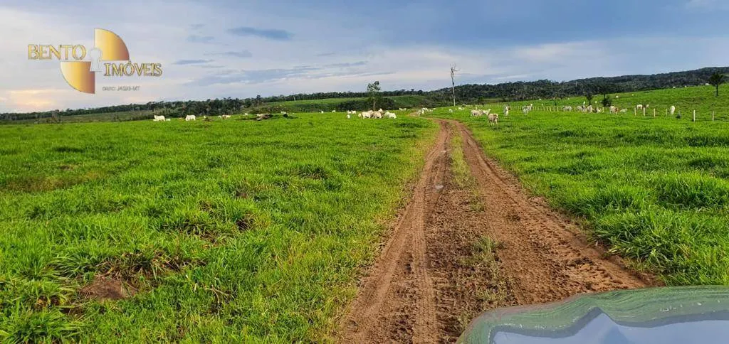 Fazenda à venda de 1.760 ha em Comodoro, MT, Brasil