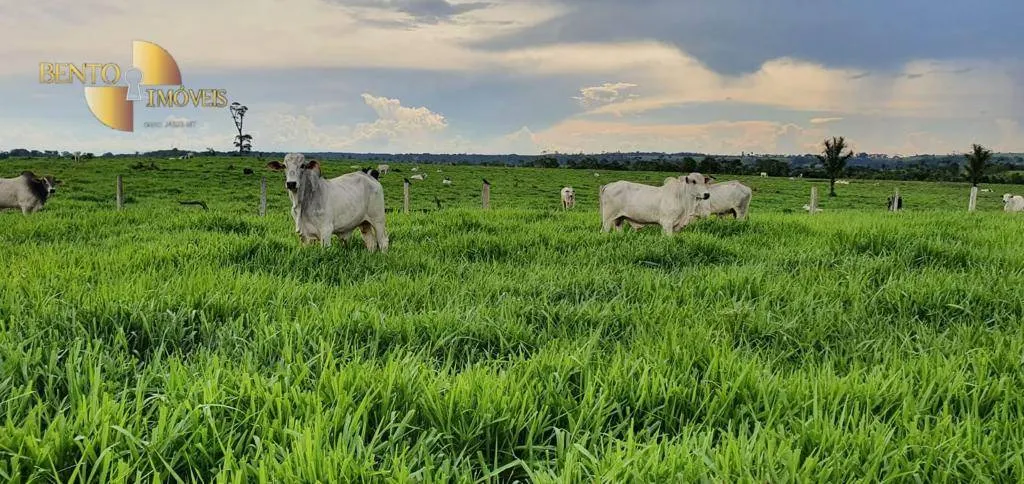Fazenda à venda de 1.760 ha em Comodoro, MT, Brasil