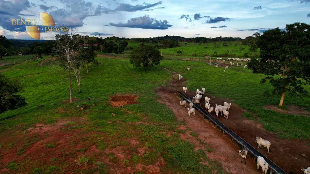Fazenda à venda de 1.760 ha em Comodoro, MT, Brasil