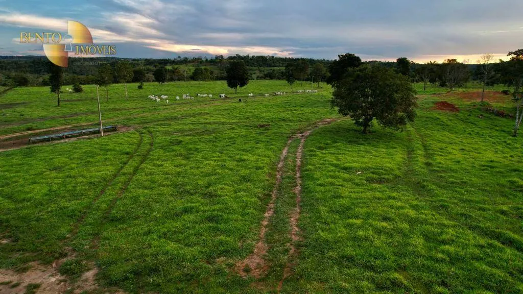 Fazenda à venda de 1.760 ha em Comodoro, MT, Brasil