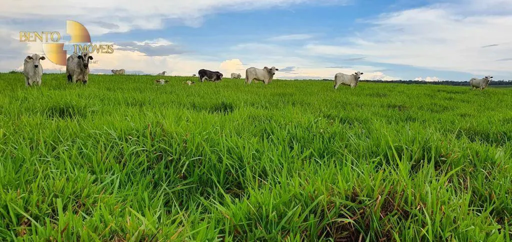 Fazenda à venda de 1.760 ha em Comodoro, MT, Brasil
