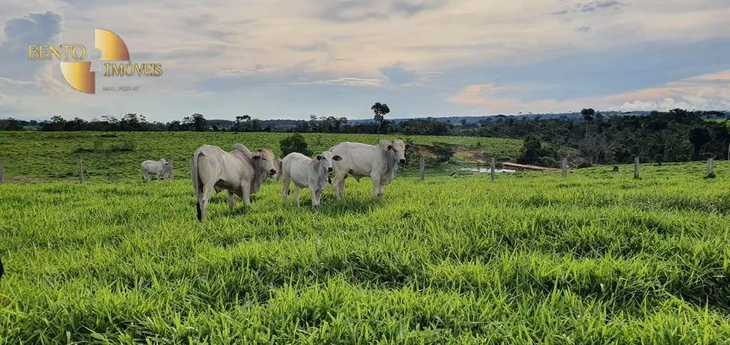Fazenda à venda de 1.760 ha em Comodoro, MT, Brasil