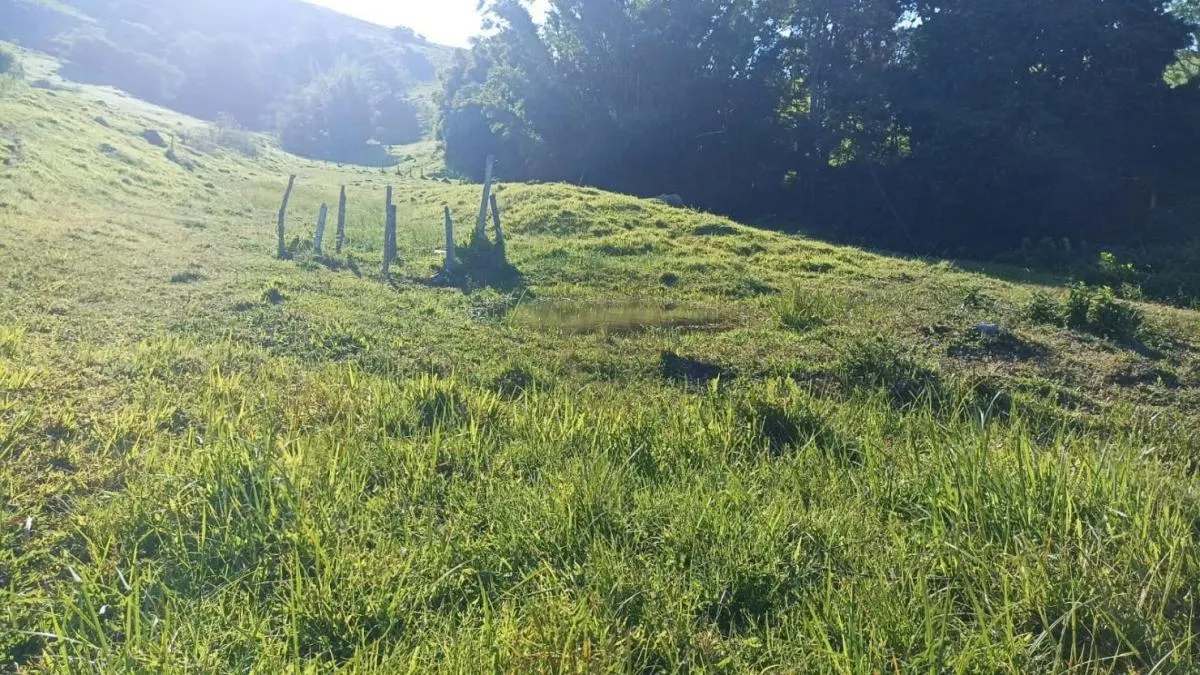 Fazenda à venda de 100 ha em Paraibuna, SP, Brasil