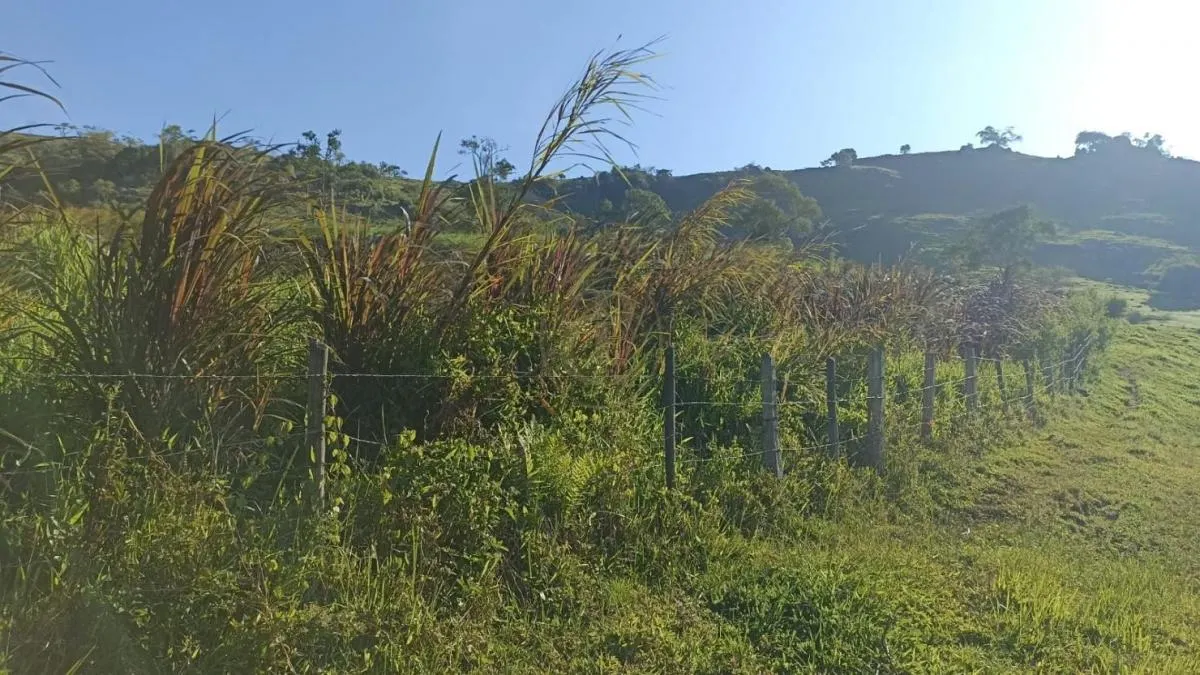 Fazenda à venda de 100 ha em Paraibuna, SP, Brasil