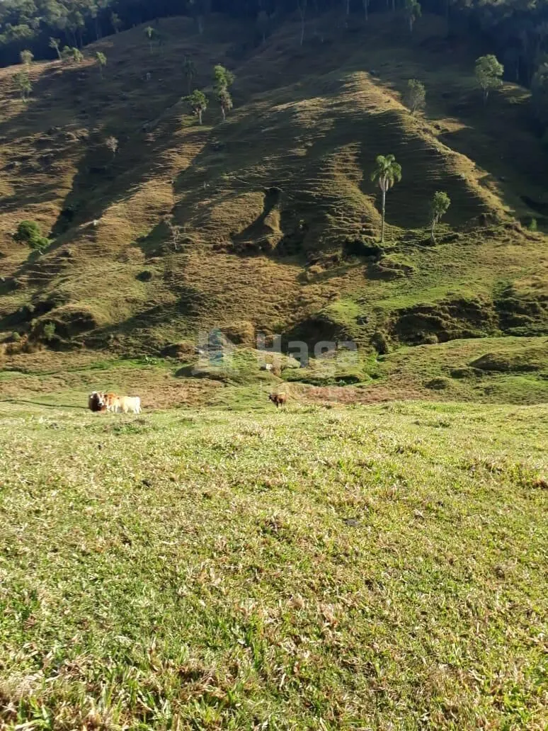 Chácara à venda de 35 ha em Angelina, SC, Brasil