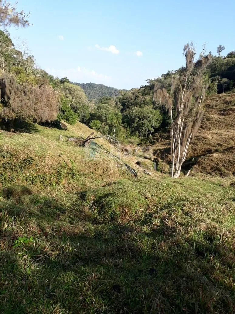 Chácara à venda de 35 ha em Angelina, SC, Brasil