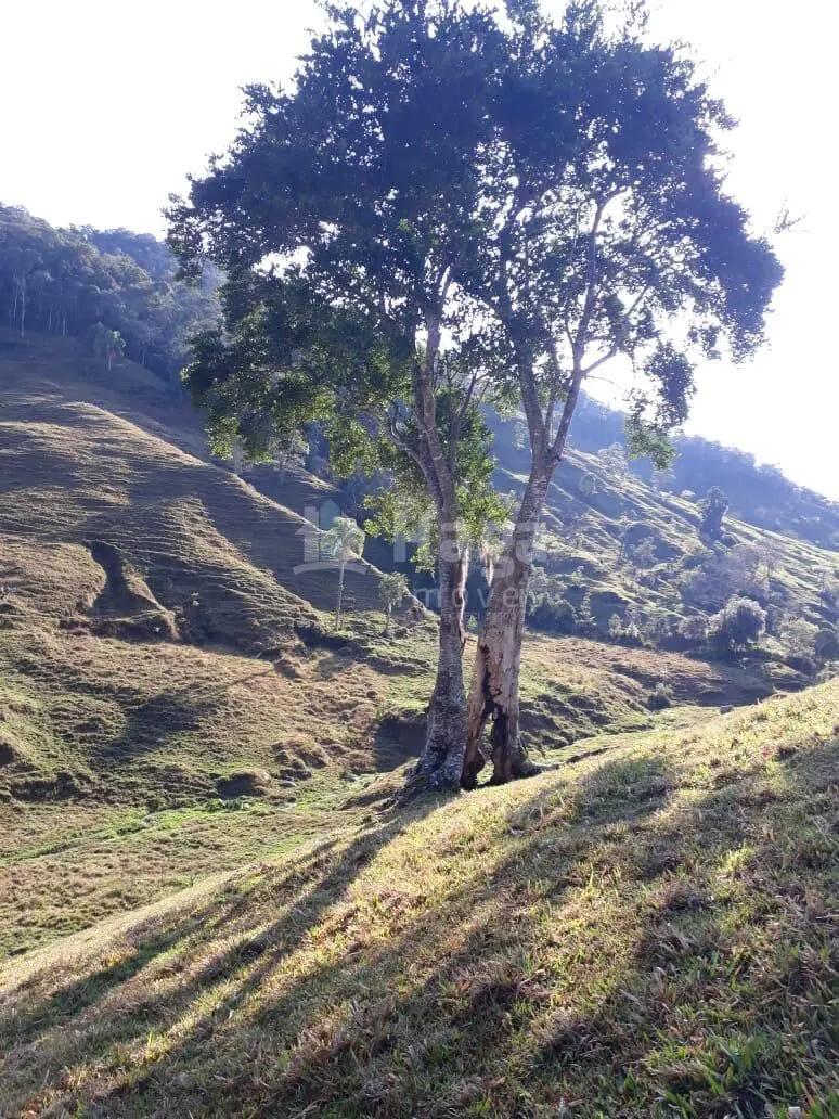Chácara à venda de 35 ha em Angelina, SC, Brasil