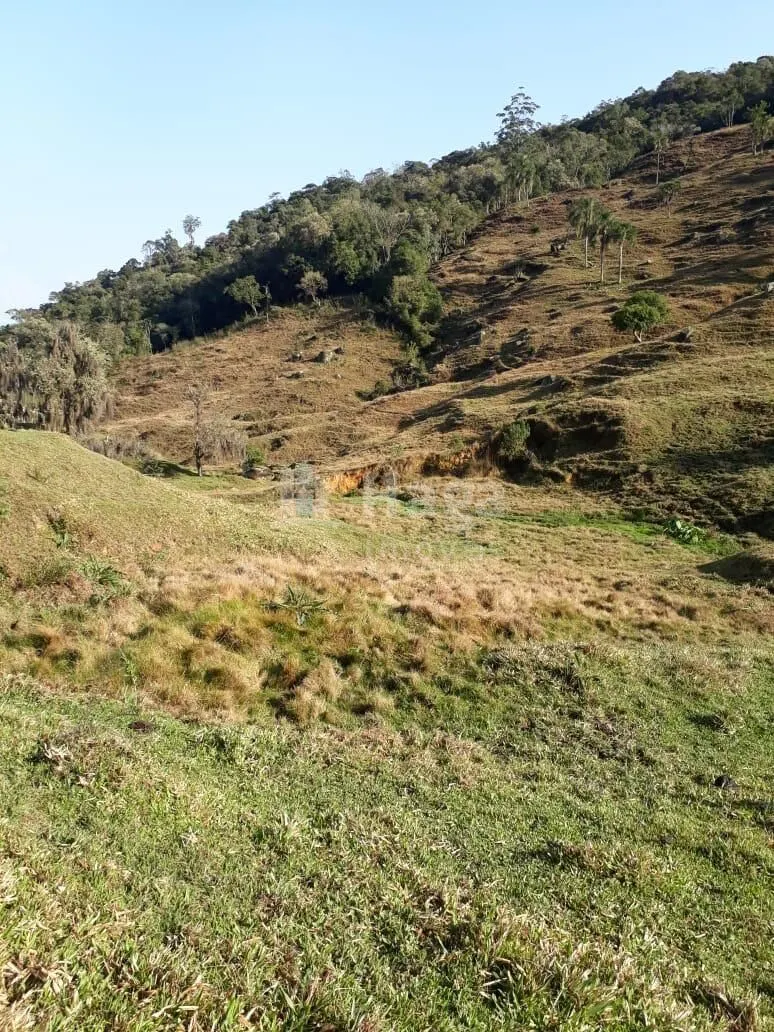 Chácara à venda de 35 ha em Angelina, SC, Brasil