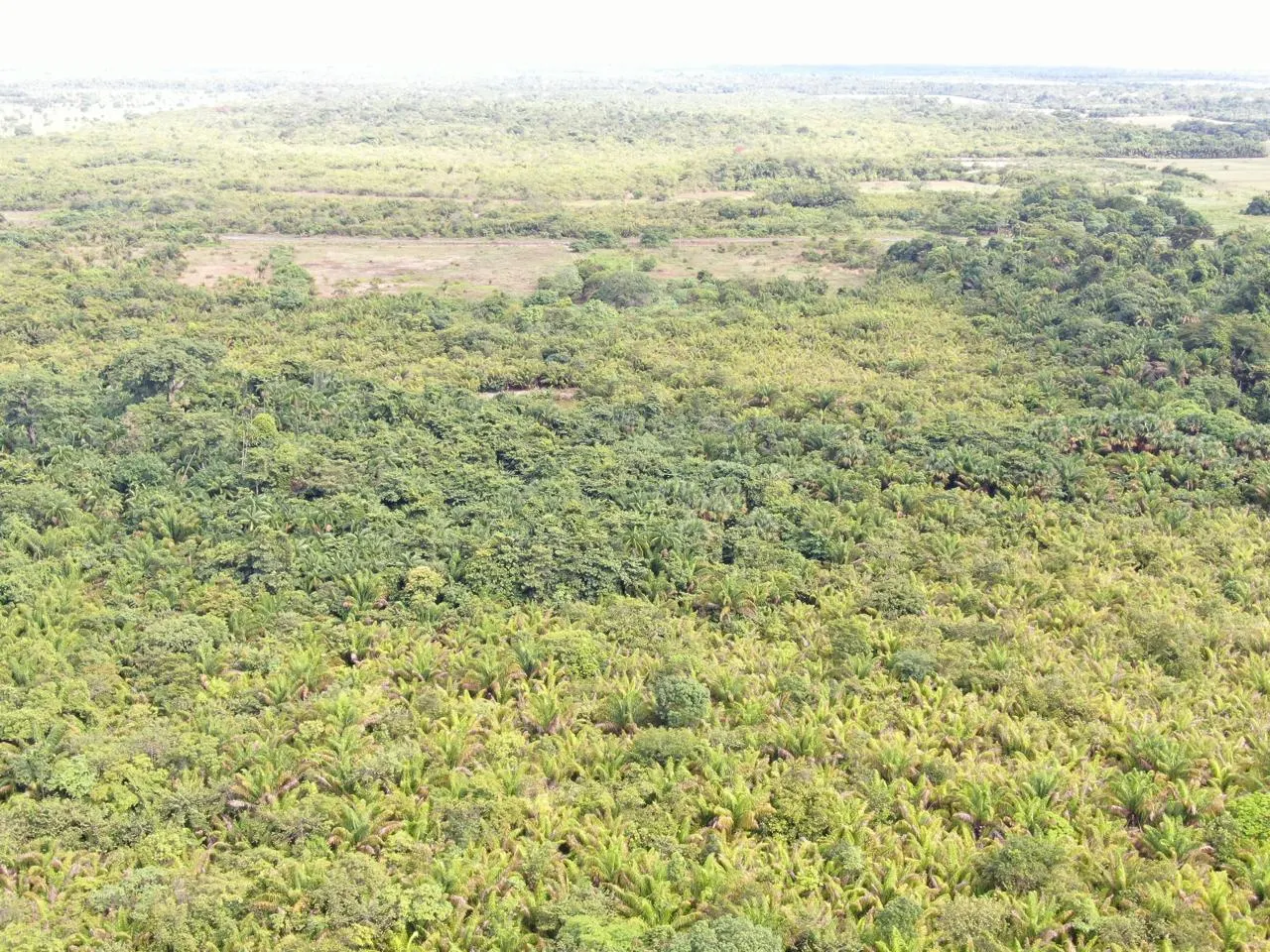 Fazenda à venda de 305 ha em Cantá, RR, Brasil