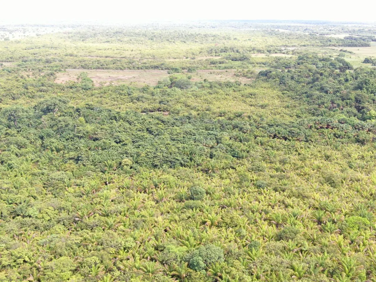 Fazenda à venda de 305 ha em Cantá, RR, Brasil