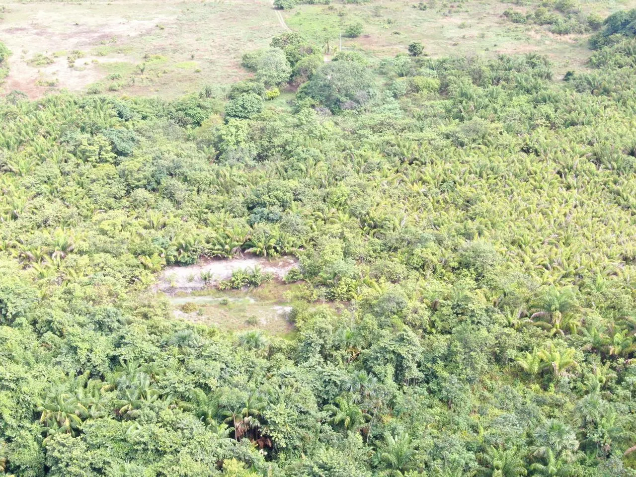 Fazenda à venda de 305 ha em Cantá, RR, Brasil