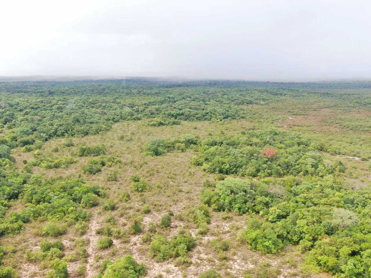 Fazenda à venda de 305 ha em Cantá, RR, Brasil
