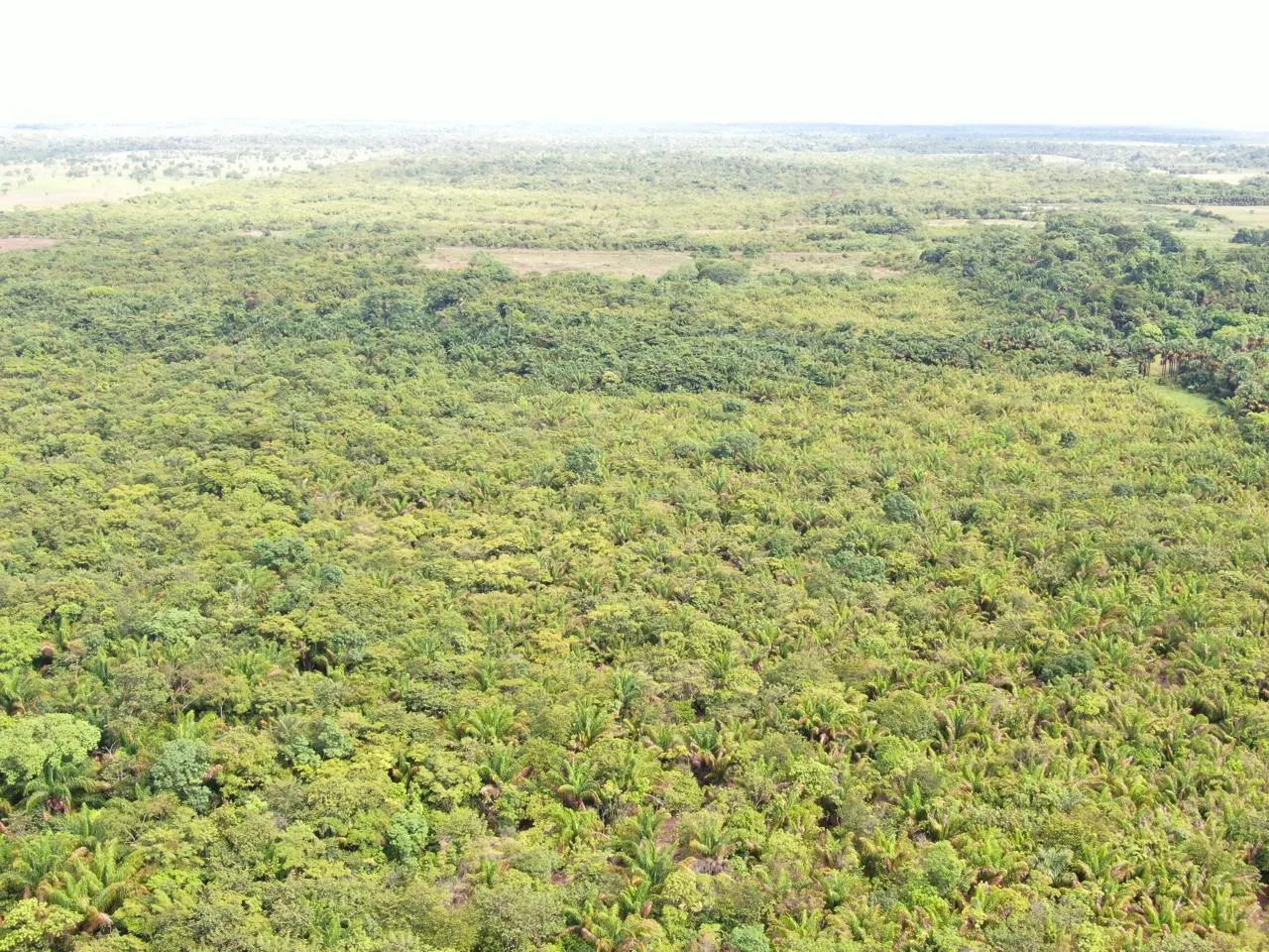 Fazenda à venda de 305 ha em Cantá, RR, Brasil