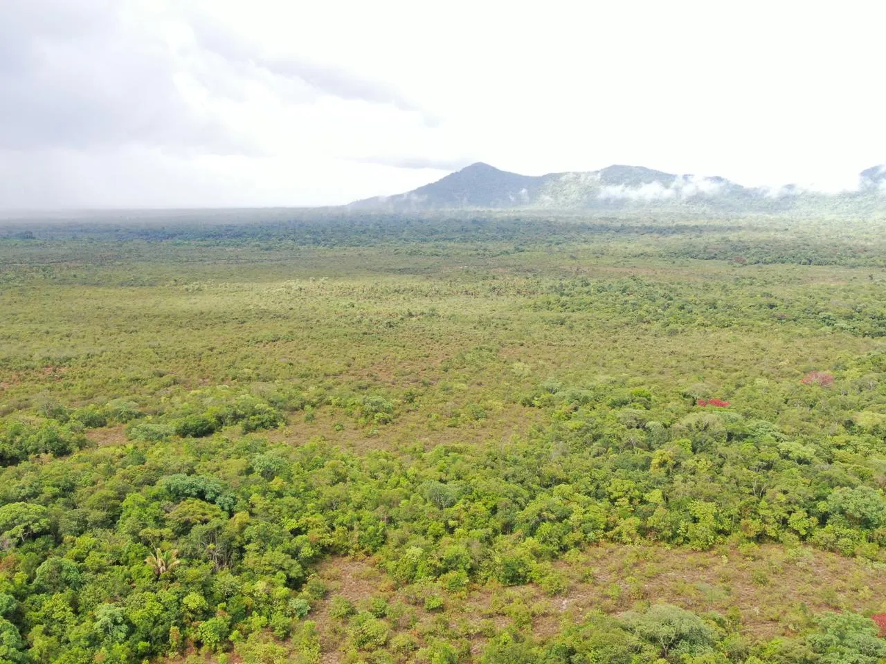 Fazenda à venda de 305 ha em Cantá, RR, Brasil